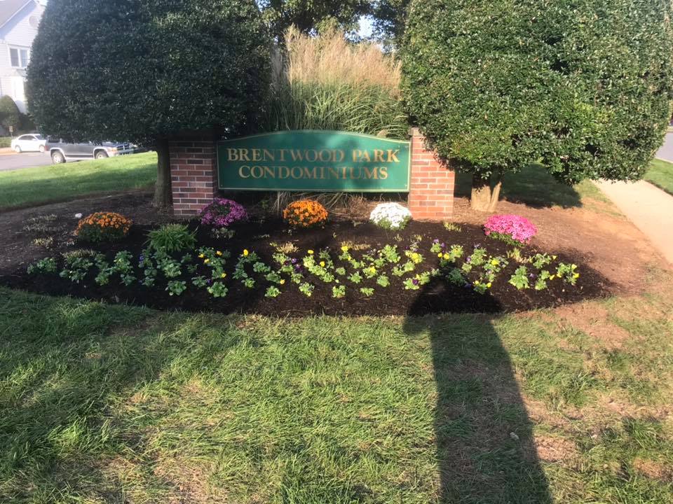 We will get your commercial properties in shape.